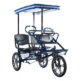 Bicicleta Triciclo Família Carrocela Passeio Azul