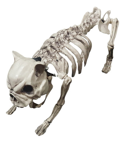 Decorativo Perro Dog Esqueleto Halloween Decoración Terror