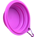 Plato Portatil Para Perros Color Morado