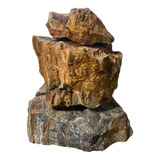 Rocha Wood Fossil  Vendido 2 Kilos C/ Nf