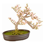 Nearly Natural 4764 Cherry Blossom Bonsai Silk Tree