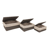 Canastos Rattan Sintético Con Tapa X3 U. Decorados - Sheshu Color Gris