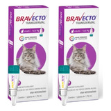 Bravecto Antipulgas Transdermal Gatos 6.25kg-12.5kg Kit C/02