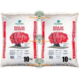 Substrato Para Rosa Do Deserto Cactos E Suculentas 20kg Grow