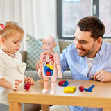 Juguete Infantil A Kids Puzzle Toys, Cuerpo Humano, Modelo H