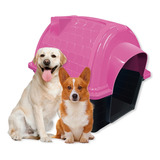 Casinha Pet Raças Médias Grandes N5 Iglu Cachorro Rosa Azul
