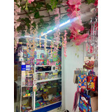 Se Traspasa Bonita Papelería Y Tienda De Regalos (cerca Del Mercado Kenedy)