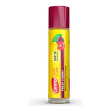 Carmex Lip Balm Stick Fresh Cherry Flavor Cerezas Importado