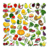 Imanes De Nevera Spritegru 59 Imanes De Frutas Y Verduras Pa