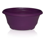 Maceta T 20 Morado, Pack 10 Unid