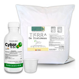 Kit Mata Chinches Cucarachas Tierra Diatomeas 1k Cybor 100ml