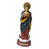 Kit Imagen Virgen Del Milagro Del Topo Tunja 22cm