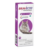 Bravecto Transdermal Pipeta Para Gatos De 6,25 A 12,5 Kg | Antiparasitario Externo