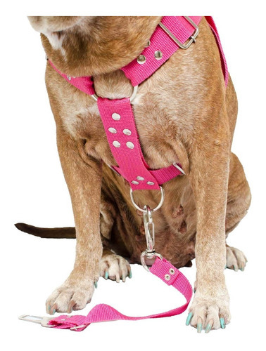 Peitoral Coleira Com Regulagem Guia Para Cães Reforçada Cor Pink Tamanho Da Coleira Grande