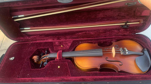Violino Michael Vnm49