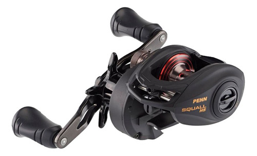 Carretilha Penn Fishing Squall 200