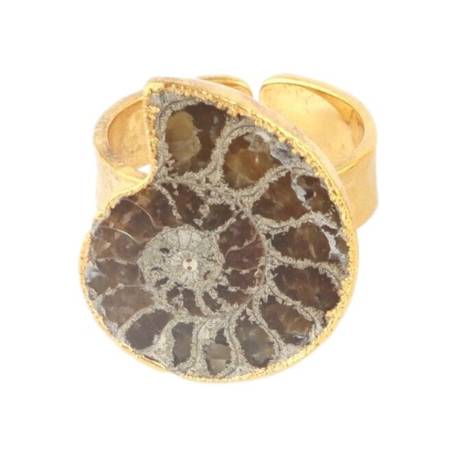 Anillo Con Bello Ammonite Fósil Natural, Chapado En Oro