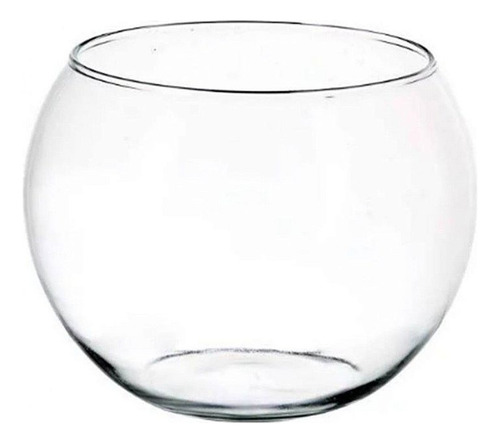 Aquario Pequeno - Arranjo De Mesa - Vidro Para Arranjo