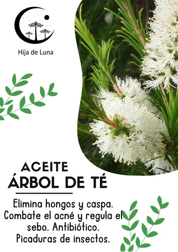 Aceite De Árbol De Té Puro Y Natural 50ml