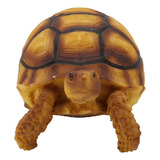 Tortuga Animal Toys, Figura De Imitación De Tortugas, Mano D