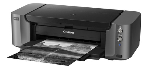 Impresora A Color Fotográfica Canon Pixma Pro-10