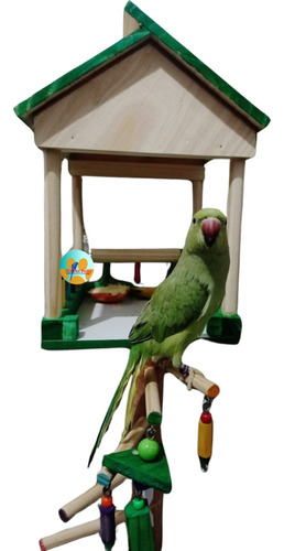 Brinquedo Para Calopsita - Casa Verde - My Pet Feliz