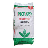 Semillas De Cesped - Ryegras - Picasso - Excel I