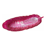 Plato Bandeja Pluma De Resina 23x8.8 Cm Mod Glitter Fucsia