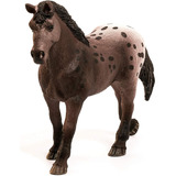 Figura De Animales Yegua Appaloosa Colección Niños Y Niñas