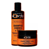 Labonté Kit Shampoo Cobre 240ml& Vitamina Cobre 150g + Soya