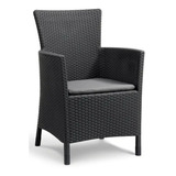 Juego 2 Sillones Rattan Modelo Iowa 