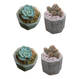 2 Macetitas De Cemento Con Suculentas Y Cactus Souvenirs