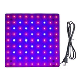 Painel Led Grow 100w 81 Leds Pc Grow Cultivo Indoor Estufa 