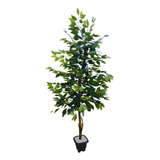 Planta Artificial Árvore Ficus Classic 1,60mt Altura