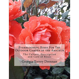 Everblooming Roses For The Outdoor Garden Of The Amateur The