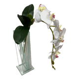 Orquídea Silicone Branca Com Folhas E Raiz Flor Artificial