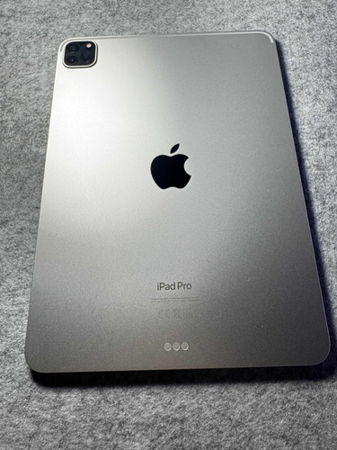 iPad Pro (4 Gen) (11) (m2)