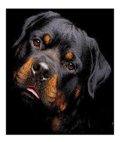 Yumeart Diamante Diamante Pintura Perro Rottweiler De Punto 