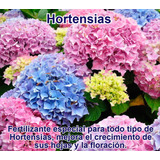 Fertilizante Especial Para Hortensias Por 50 Gr (rinde 13 L)