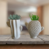 Maceta Cactus Y Nopal Set De 2 Suculentas Minimalistas