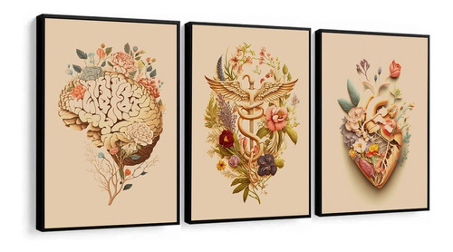 Quadro Decorativo Medicina Consultório Médico Flores Moderno