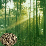 Semillas De Plantas De Jardin, Mas De 20 Semillas De Bambu G