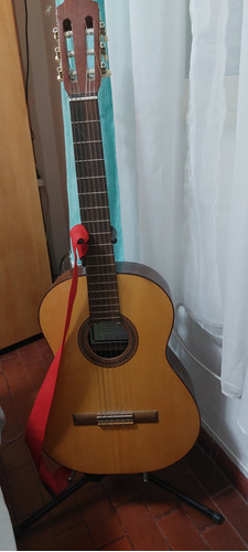 Guitarra  Criolla  Con Funda Soporte Uña Y Transportador