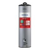 Termotanque 120 Litros Gas Señorial Linea Family Premium Tsz-120 Color Gris