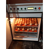 Incubadora  Para  108  Huevos Volteo Automático 60 W . 
