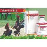 Vitamina B12 Importada Argentina Galo Combatente