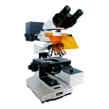 Microscopio Binocular Epiflurescencia Nikon. Labophot
