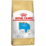 Ração Royal Canin Maltes Puppy Para Cães Filhotes 2,5kg