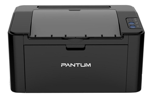 Impresora Simple Función Pantum P2500w Con Wifi Negra 220v -