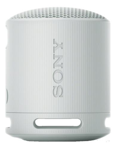 Bocina Marca Sony Modelo Srs-xb100 Bluetooth Reacondicionada
